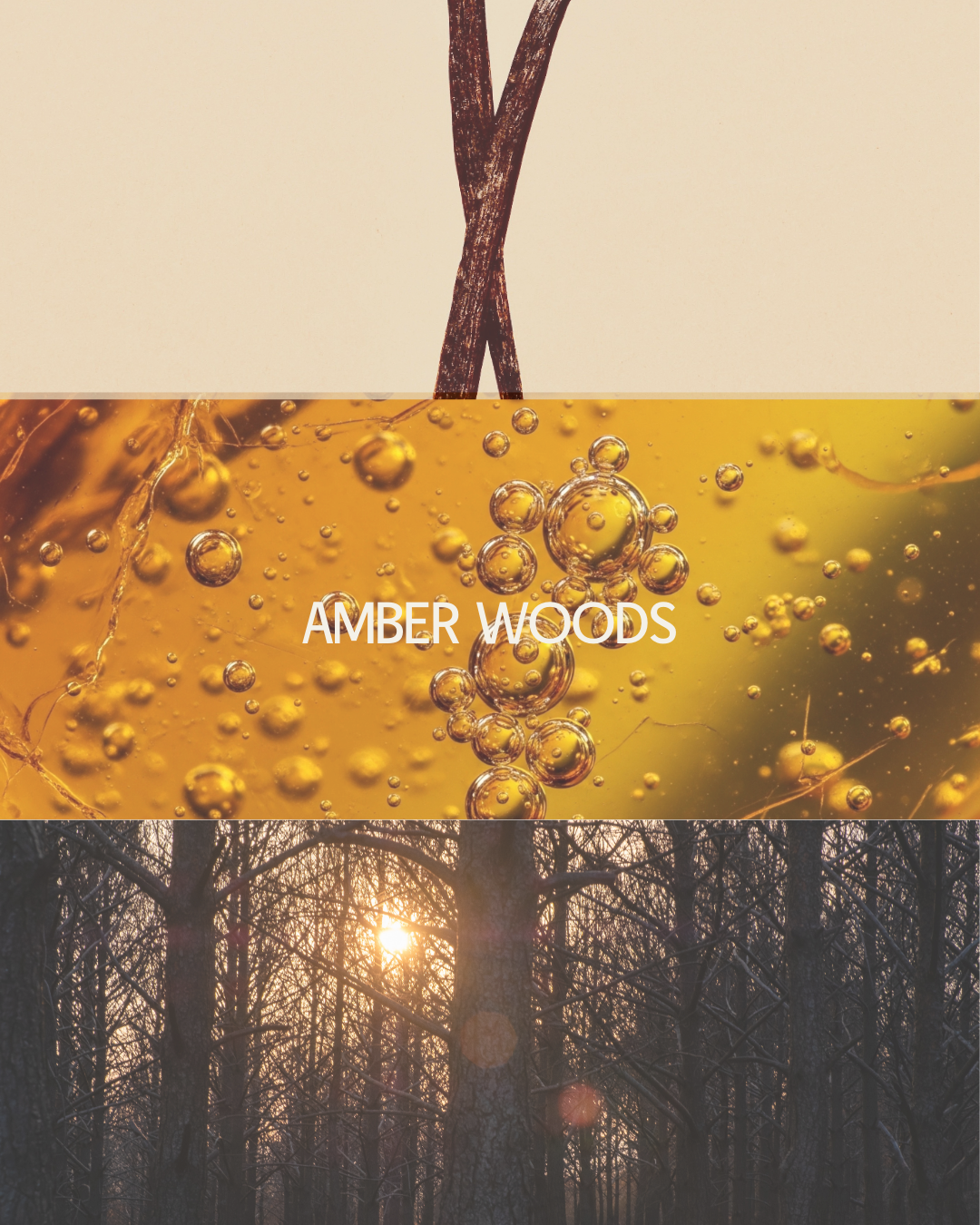 Amber Woods Candle