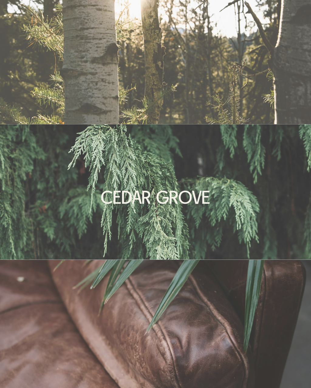 Cedar Grove Candle