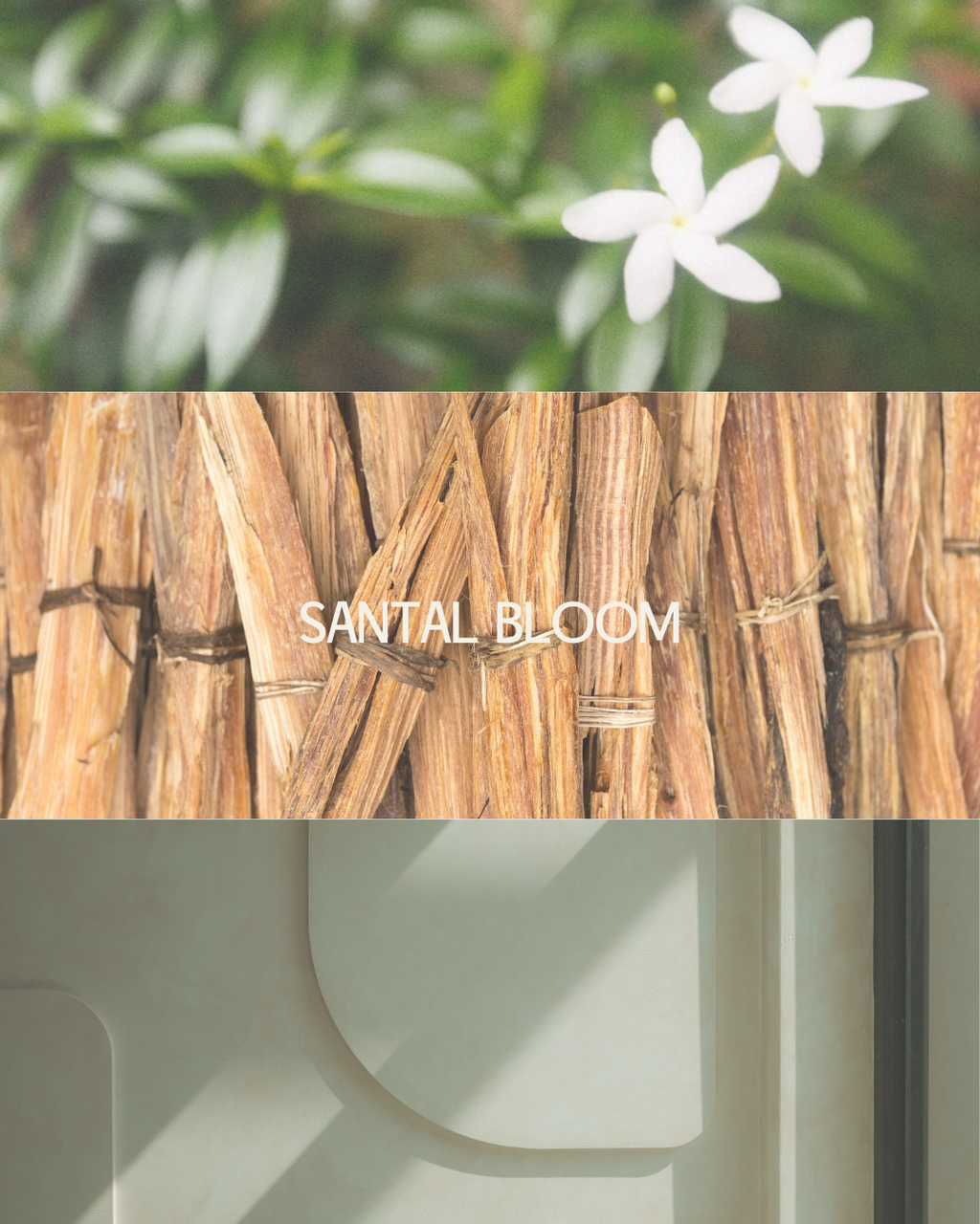 Santal Bloom Candle